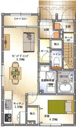 アヴニール新宮の物件間取画像